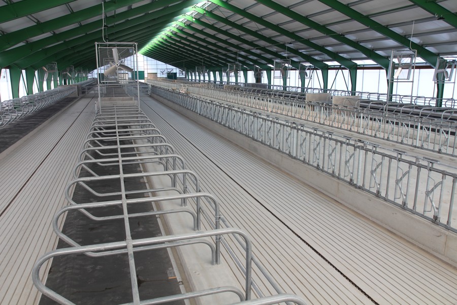 Dairy Farm Pomezí