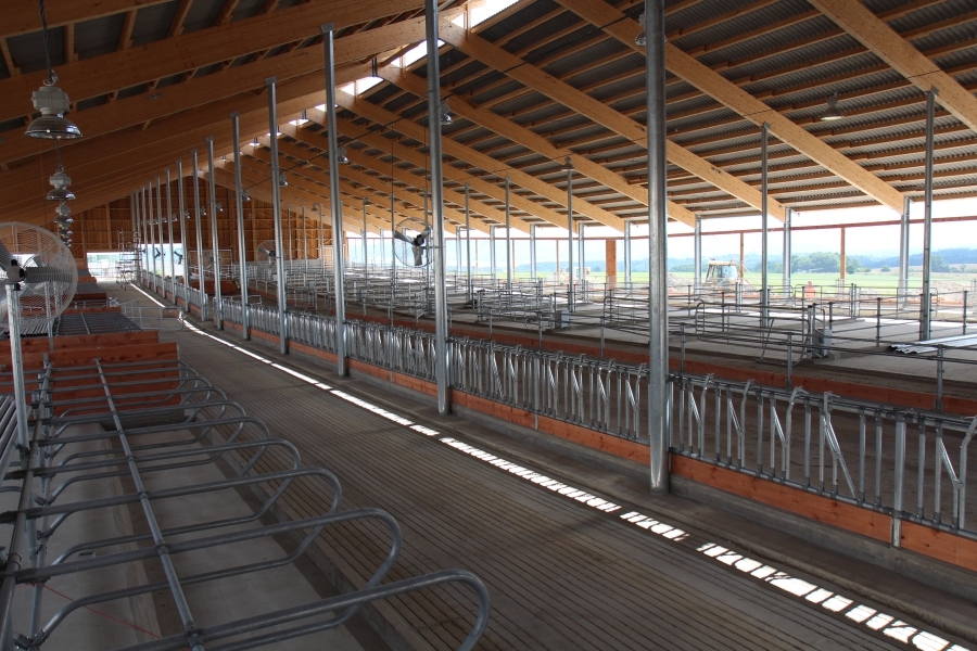 Dairy farm Uhelná Příbram