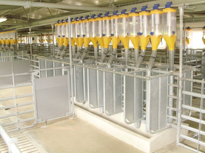 Farm for sows breeding - Srní