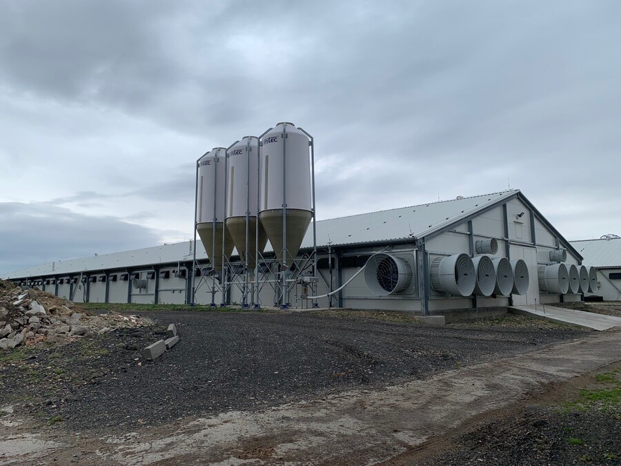 Fattening stable for broilers chickens Bitozeves II