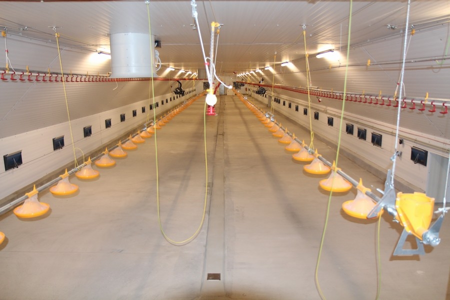 Fattening stable for broilers chickens Martinice u Onšova