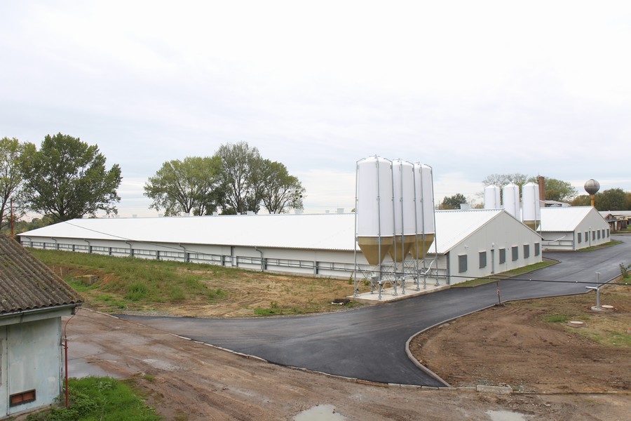 Fattening stable for broilers chickens Pánov