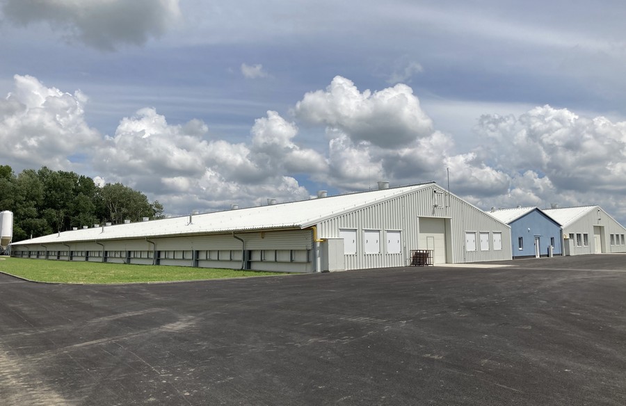 Fattening stable for broilers chickens Pánov II