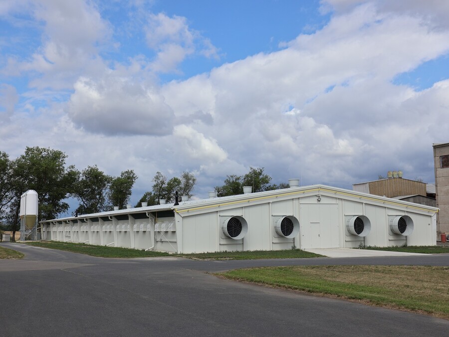Fattening stable for broilers chickens Pracejovice