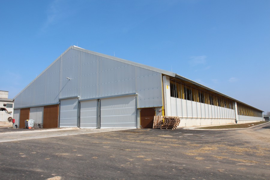 Heifers Barn Morašice