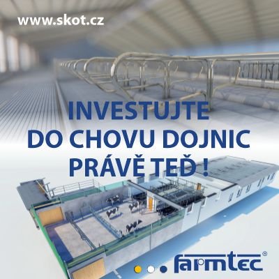 Investujte do dojnic právě teď