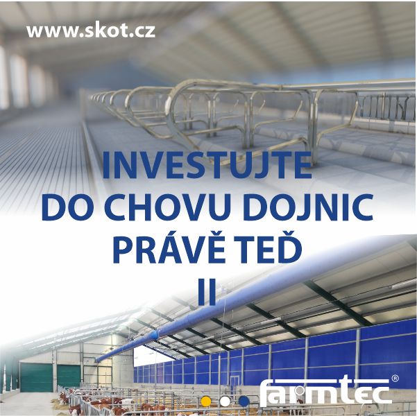 Investujte do dojnic právě teď II