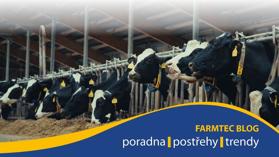 Jak podpořit příjem krmiva u dojnic?