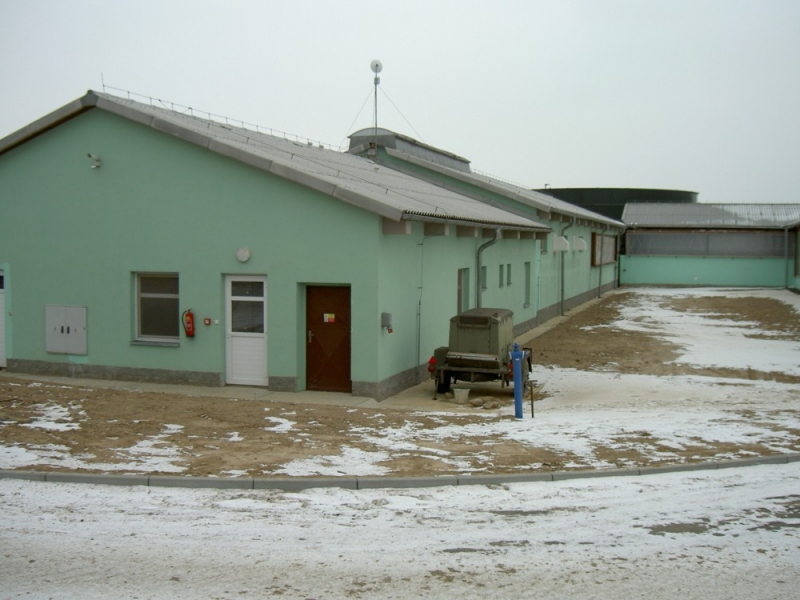 Коровник для дойных коров - Ездковице
