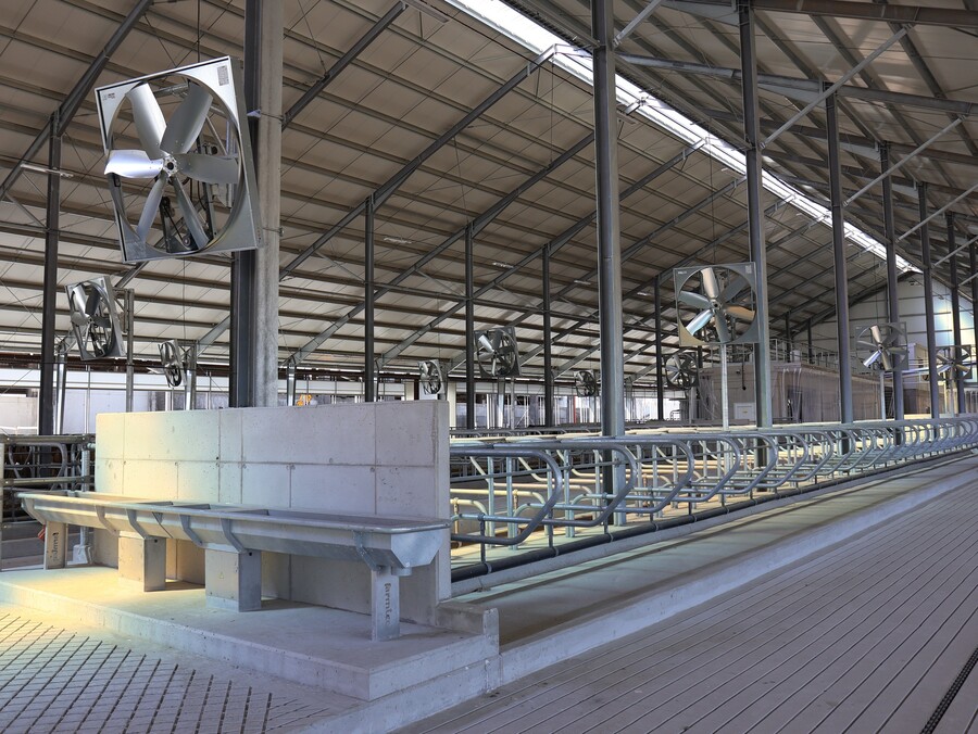 Milchviehstall mit Melkroboter Nepoměřice