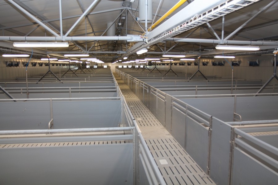 Pig farm - Velké Němčice