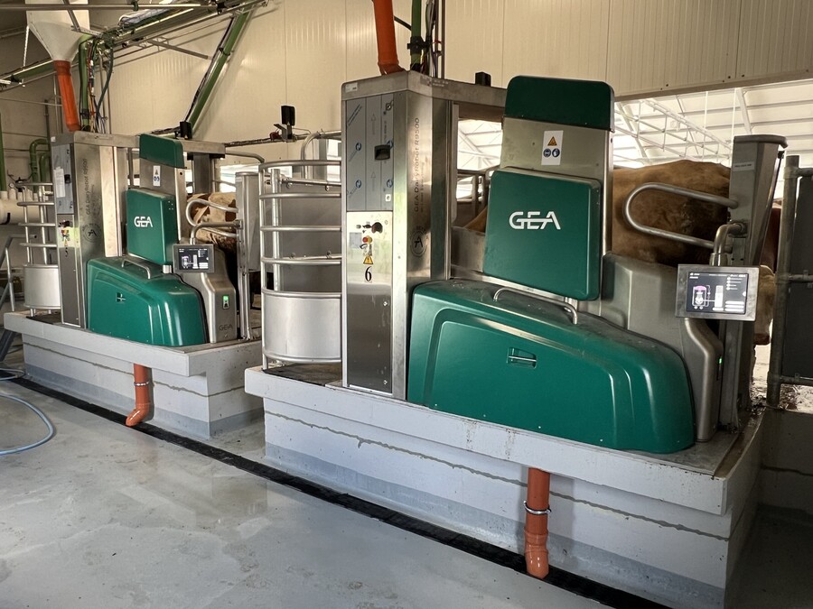 Robotické dojení Drženice