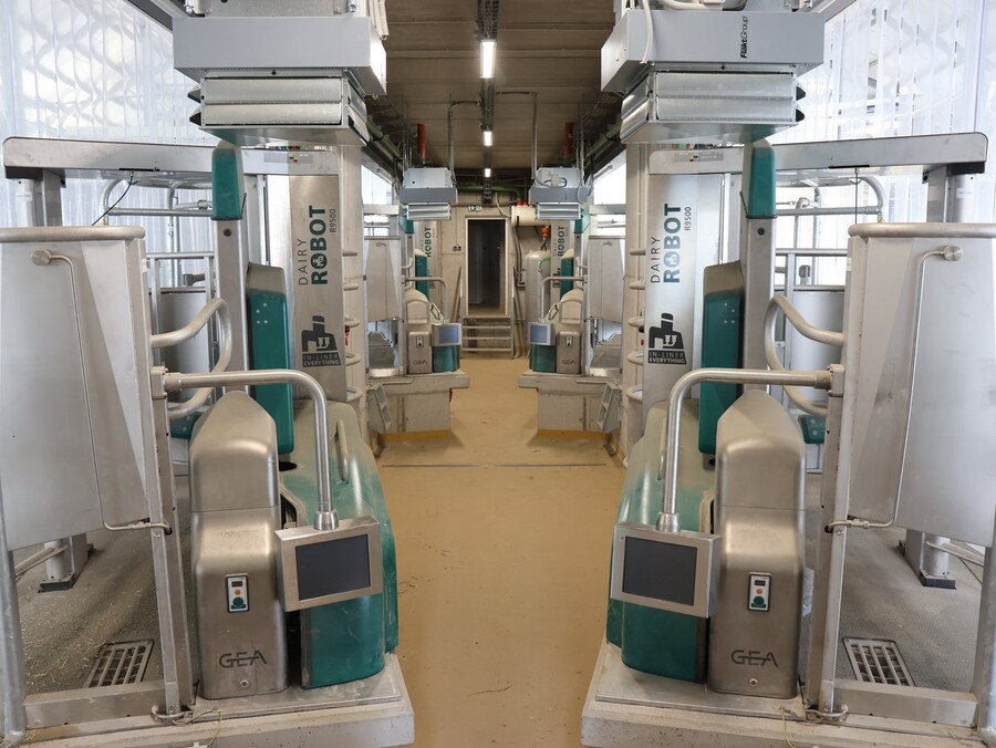 Robotické dojení Nepoměřice