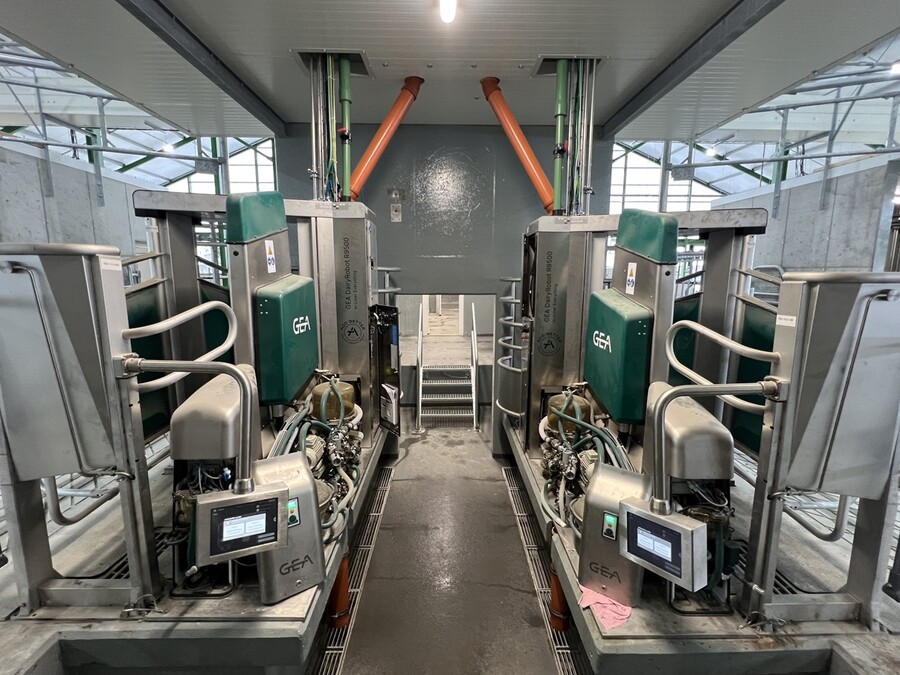 Robotické dojení Vracov