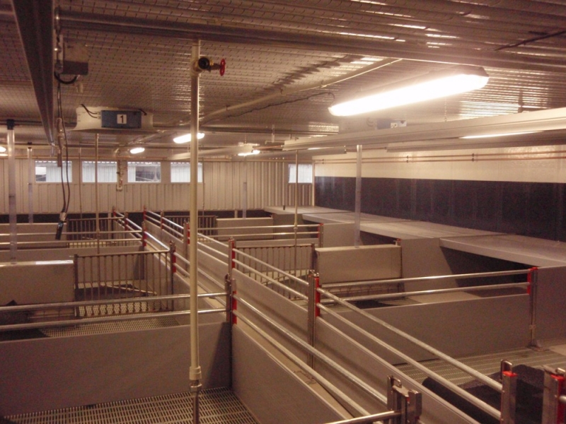 Sows calving facility with piglets breeding - Těšnovice