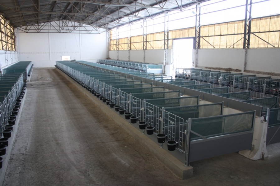Stable for calves - Fryšták
