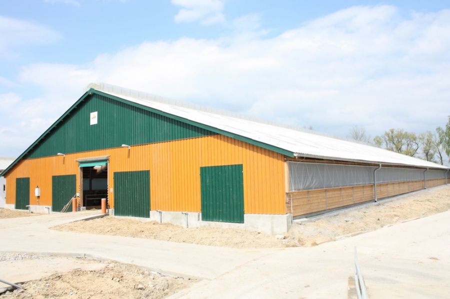Stable for dairy cows - Jestřebice