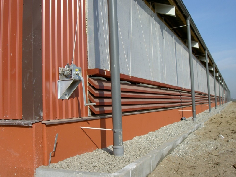 Stable for dairy cows - Wojnovice