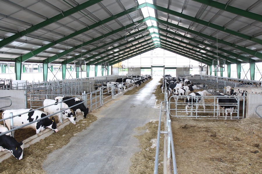 Stall für Kälber und Färsen Šlapanice