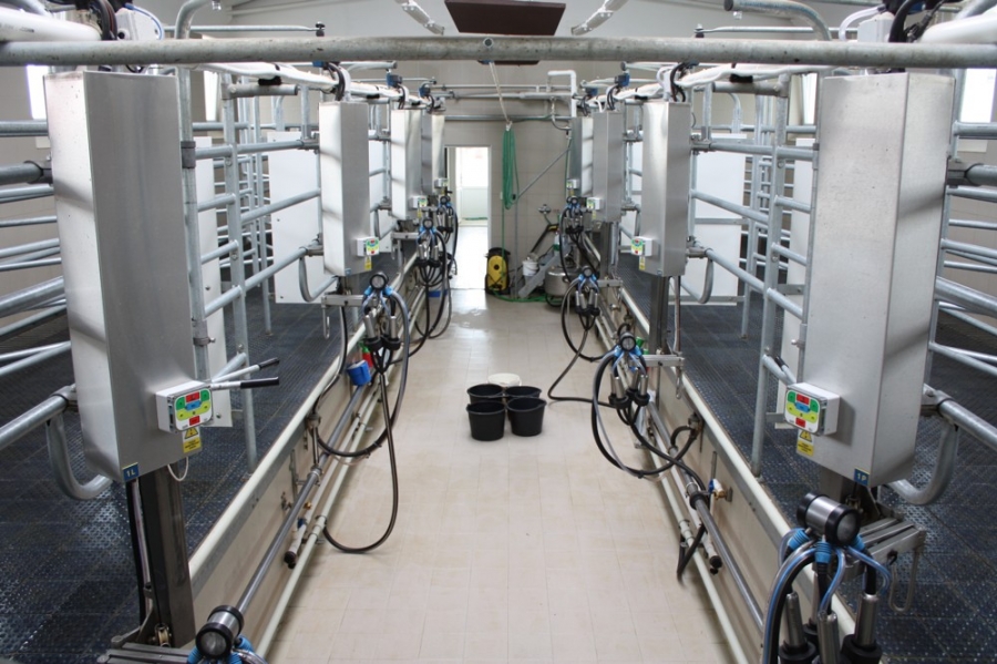 Tandem milking parlour- Radětice 