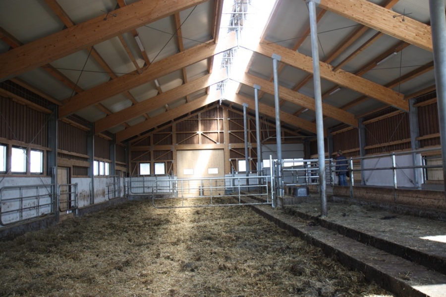 Wintering grounds for beef cattle - Michlova Huť